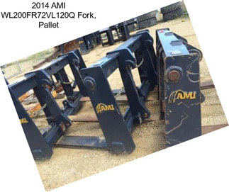 2014 AMI WL200FR72VL120Q Fork, Pallet