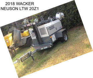2018 WACKER NEUSON LTW 20Z1