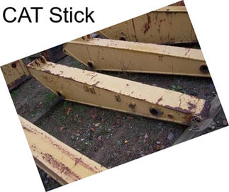 CAT Stick