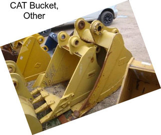 CAT Bucket, Other