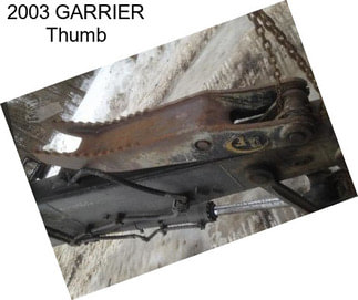 2003 GARRIER Thumb