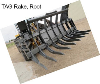 TAG Rake, Root