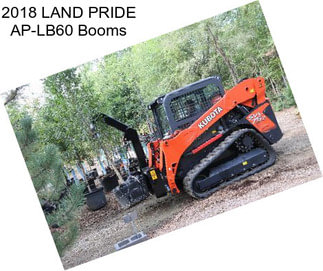 2018 LAND PRIDE AP-LB60 Booms