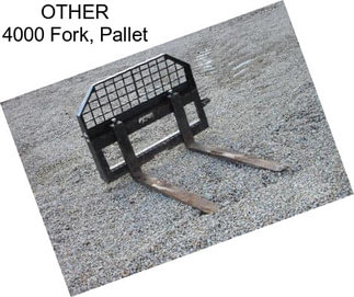 OTHER 4000 Fork, Pallet