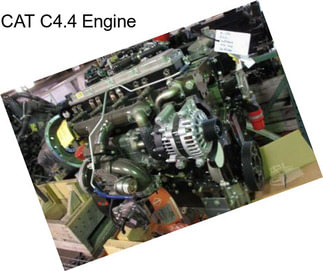 CAT C4.4 Engine