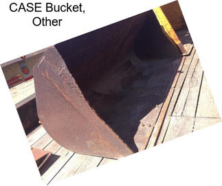 CASE Bucket, Other