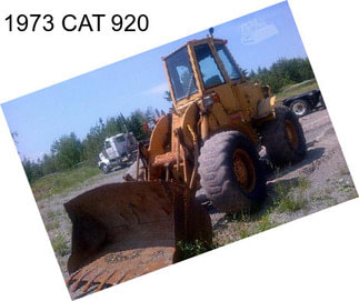 1973 CAT 920