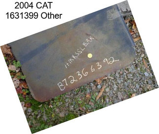 2004 CAT 1631399 Other