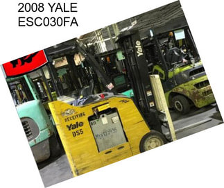 2008 YALE ESC030FA