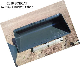 2018 BOBCAT 6731421 Bucket, Other