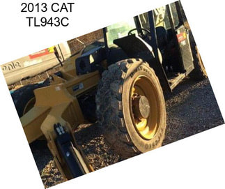 2013 CAT TL943C