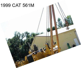 1999 CAT 561M