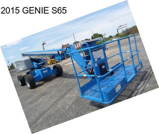 2015 GENIE S65