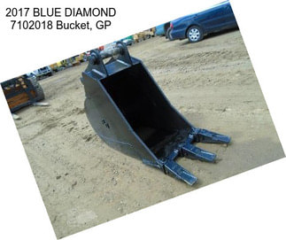 2017 BLUE DIAMOND 7102018 Bucket, GP