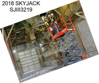 2018 SKYJACK SJIII3219