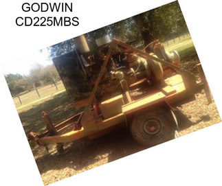 GODWIN CD225MBS