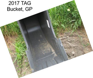 2017 TAG Bucket, GP