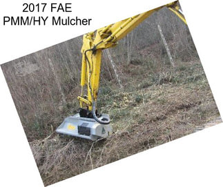 2017 FAE PMM/HY Mulcher