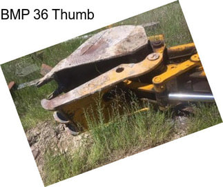 BMP 36 Thumb