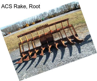 ACS Rake, Root