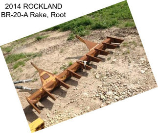 2014 ROCKLAND BR-20-A Rake, Root
