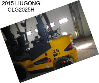 2015 LIUGONG CLG2025H