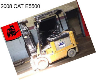 2008 CAT E5500