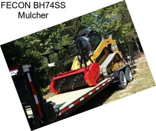 FECON BH74SS Mulcher