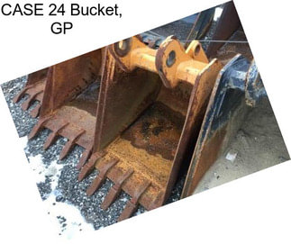 CASE 24 Bucket, GP