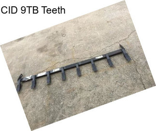 CID 9TB Teeth