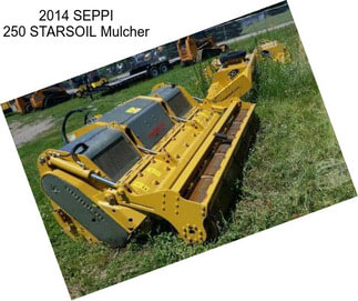 2014 SEPPI 250 STARSOIL Mulcher