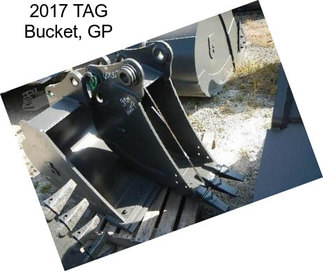 2017 TAG Bucket, GP