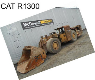 CAT R1300