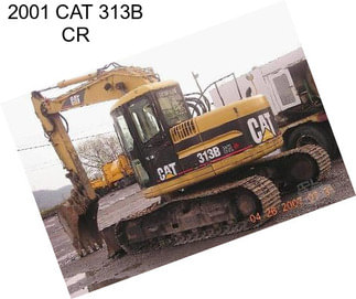 2001 CAT 313B CR