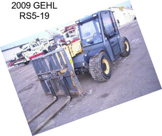 2009 GEHL RS5-19