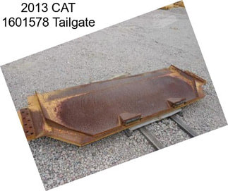 2013 CAT 1601578 Tailgate