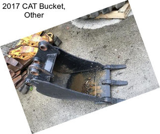 2017 CAT Bucket, Other