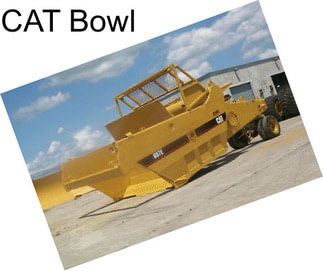 CAT Bowl