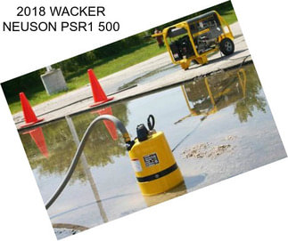 2018 WACKER NEUSON PSR1 500