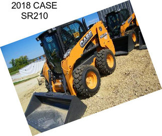 2018 CASE SR210