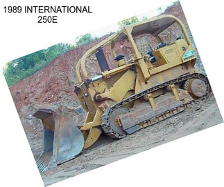 1989 INTERNATIONAL 250E