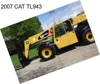 2007 CAT TL943