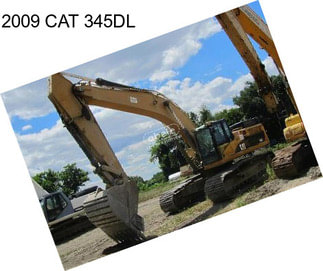 2009 CAT 345DL