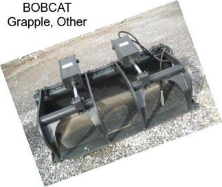 BOBCAT Grapple, Other