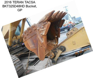 2016 TERAN TACSA BKT325D48HD Bucket, GP