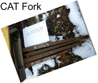 CAT Fork