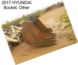 2017 HYUNDAI Bucket, Other