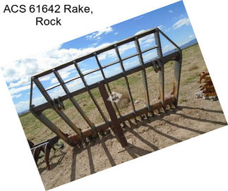 ACS 61642 Rake, Rock