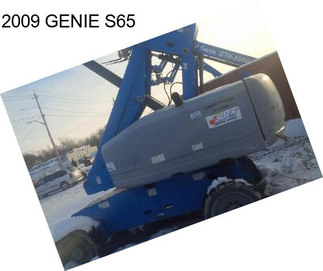 2009 GENIE S65