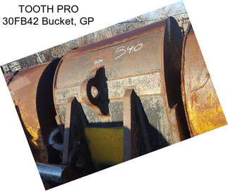 TOOTH PRO 30FB42 Bucket, GP